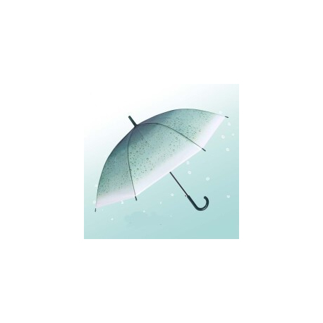 Dáždnik