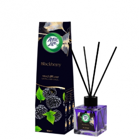 Osviežovač stick 100ml - Blackberry