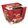 Sviečka-Apple Cinnamon